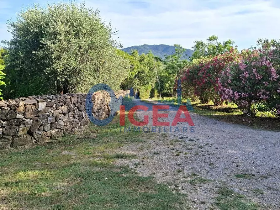 Immagine 2 di Rustico / casale in vendita  a Gavorrano