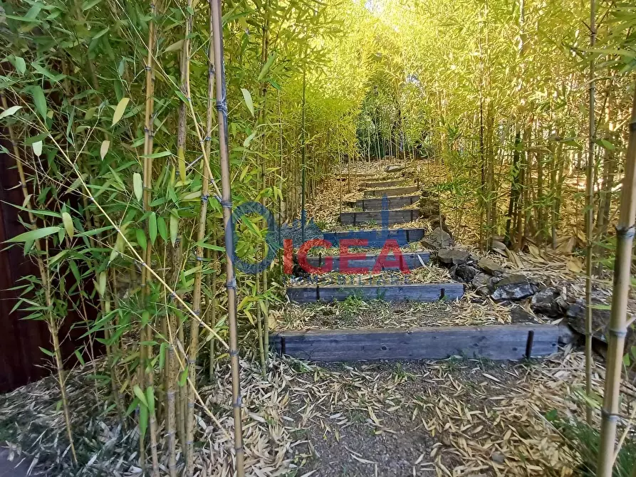 Immagine 32 di Rustico / casale in vendita  a Gavorrano