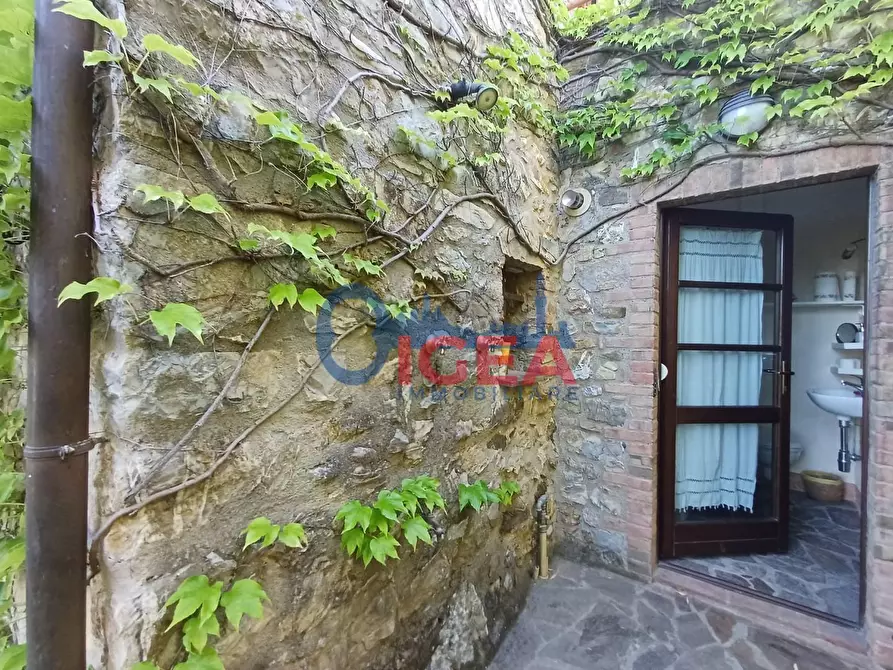 Immagine 33 di Rustico / casale in vendita  a Gavorrano