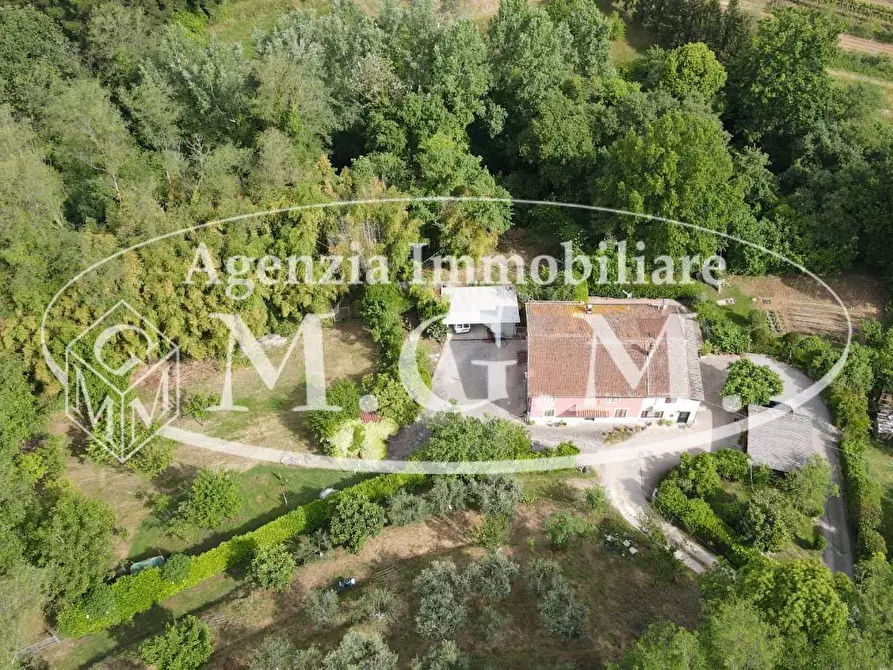 Immagine 8 di Porzione di casa in vendita  a Santa Maria A Monte
