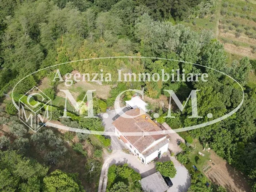 Immagine 4 di Porzione di casa in vendita  a Santa Maria A Monte