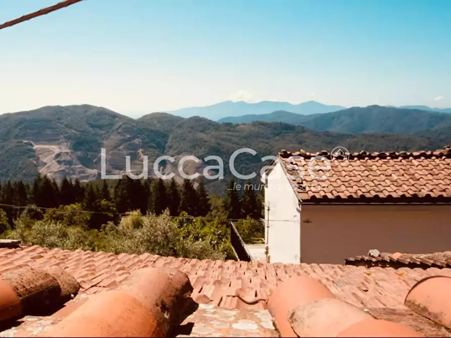 Immagine 32 di Terratetto in vendita  a Pescaglia