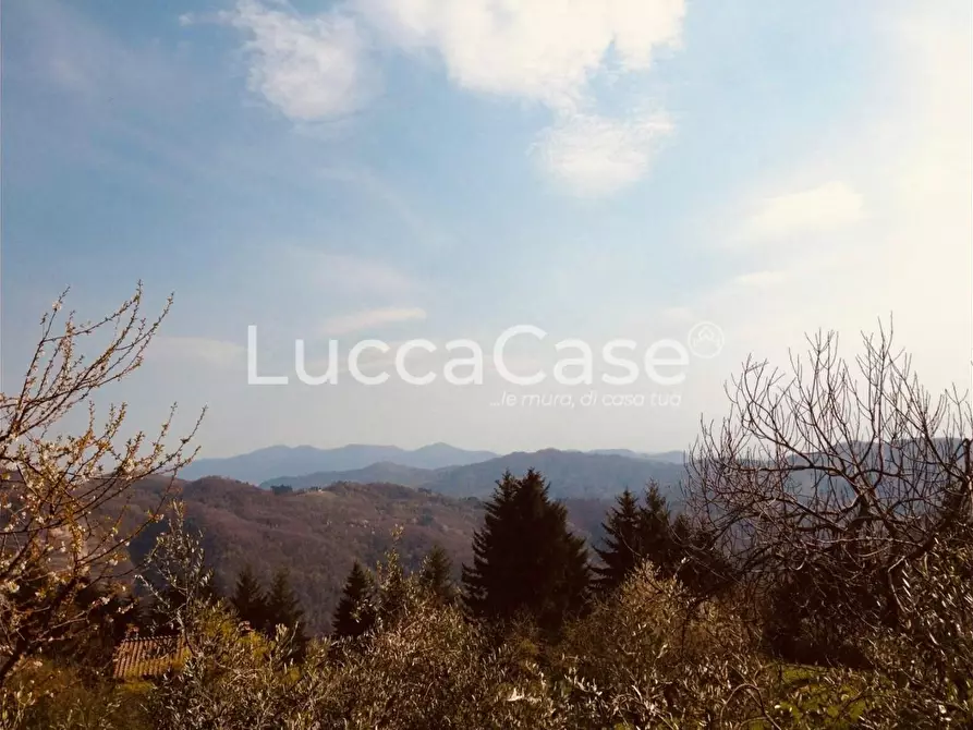 Immagine 33 di Terratetto in vendita  a Pescaglia
