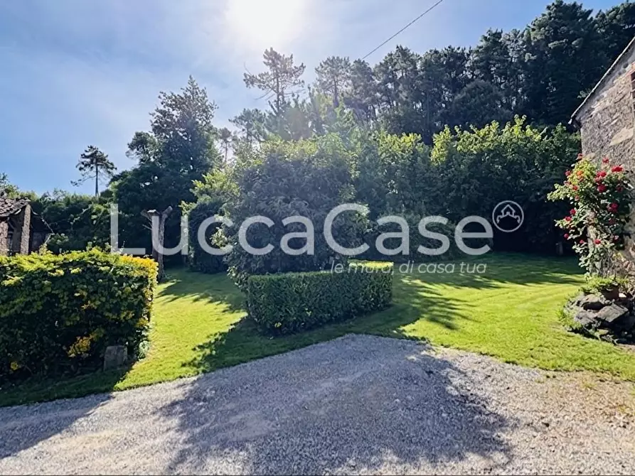 Immagine 9 di Casa colonica in vendita  a Capannori