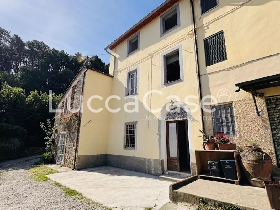 Immagine 11 di Casa colonica in vendita  a Capannori