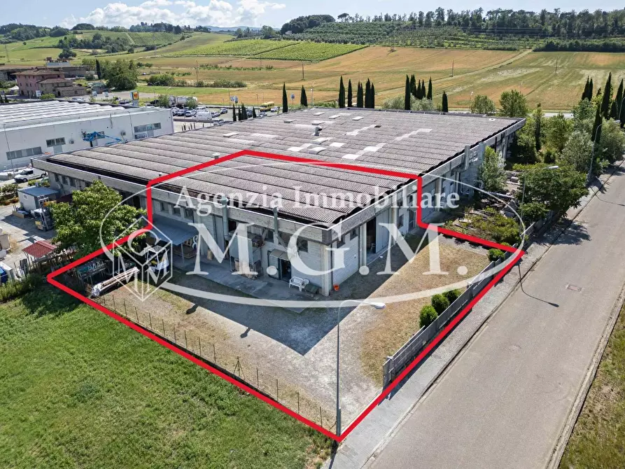Immagine 1 di Attività artigianale in vendita  a Terricciola