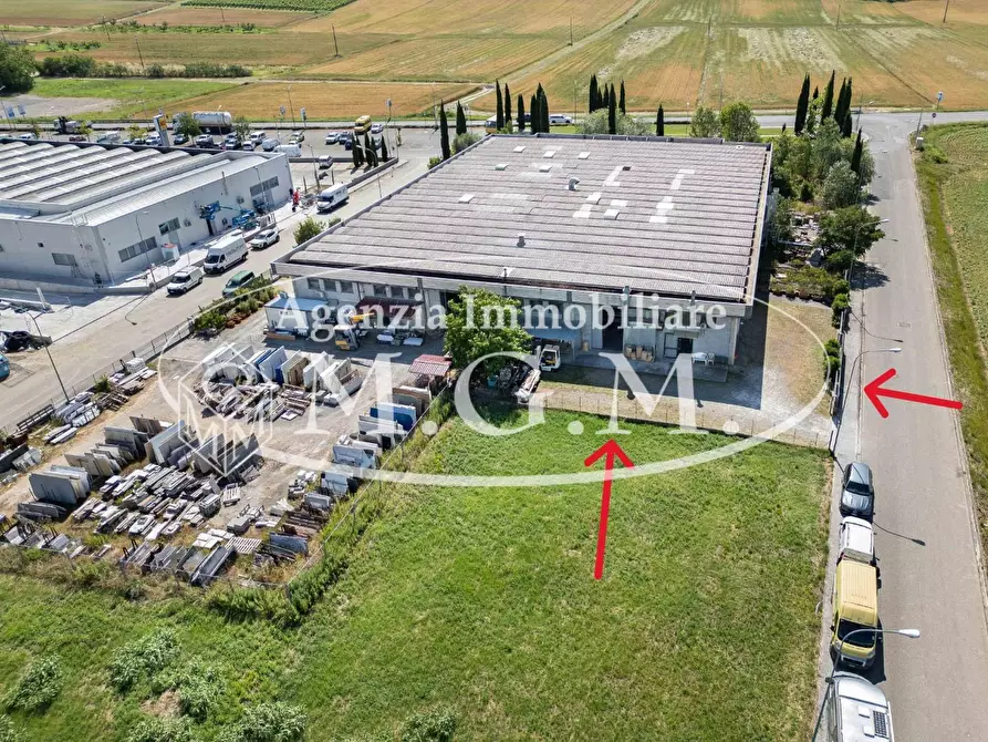 Immagine 2 di Attività artigianale in vendita  a Terricciola
