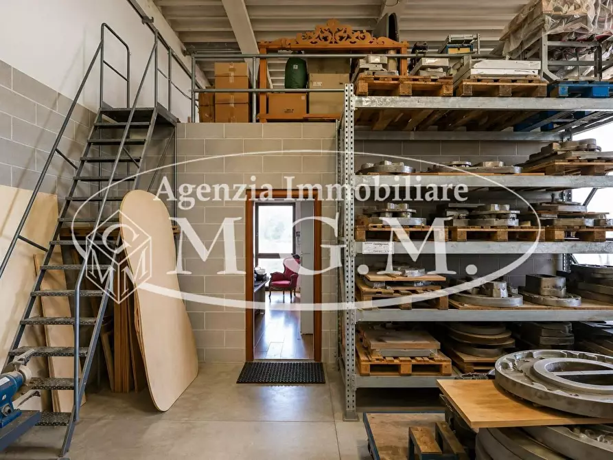 Immagine 11 di Attività artigianale in vendita  a Terricciola