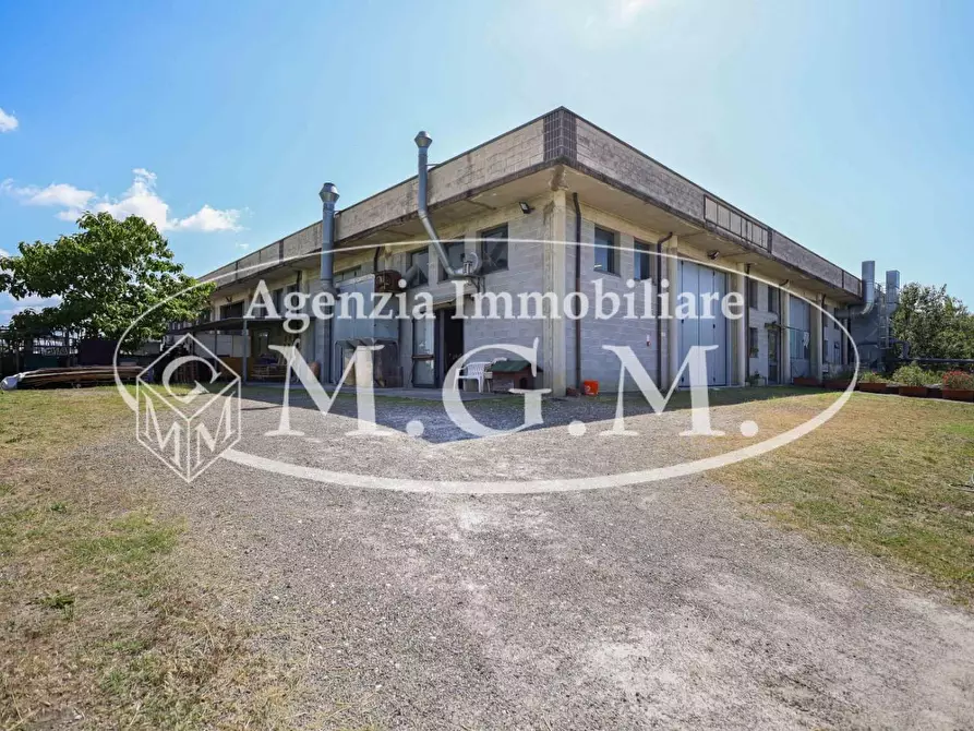 Immagine 5 di Attività artigianale in vendita  a Terricciola