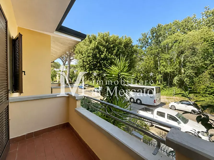 Immagine 44 di Villetta a schiera in vendita  a Viareggio