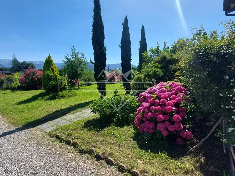 Immagine 10 di Casa indipendente in affitto  a Massa