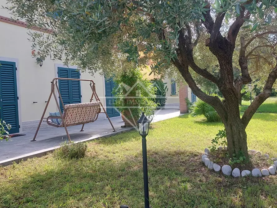 Immagine 2 di Casa indipendente in affitto  a Massa