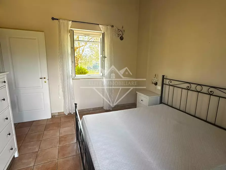 Immagine 9 di Casa indipendente in affitto  a Massa
