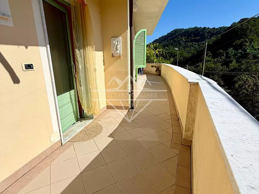 Immagine 19 di Villa in vendita  a Carrara