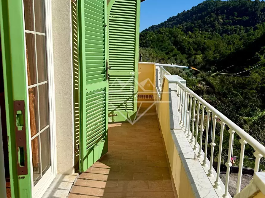 Immagine 29 di Villa in vendita  a Carrara