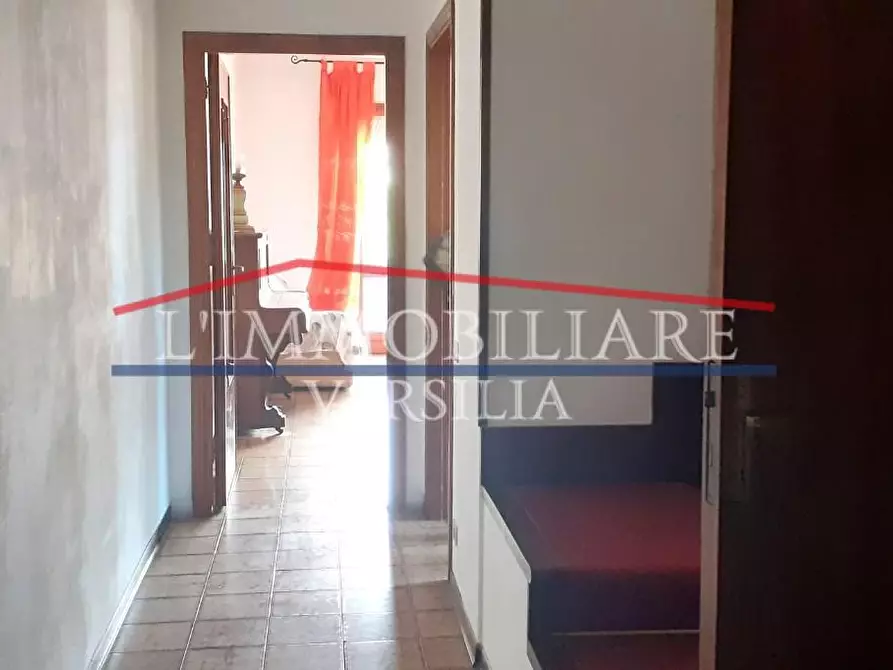 Immagine 6 di Appartamento in vendita  a Massa