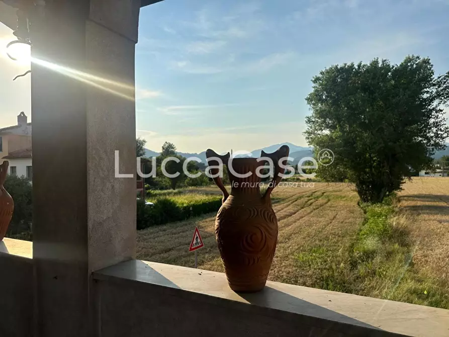 Immagine 14 di Terratetto in vendita  a Lucca