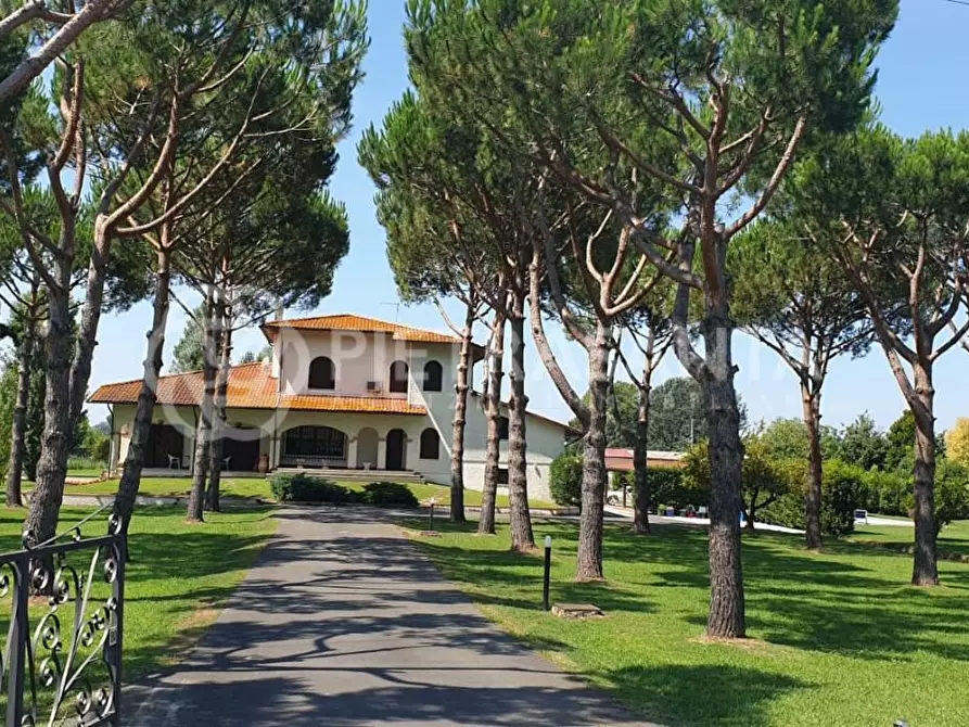 Immagine 10 di Villa in vendita  a Pietrasanta