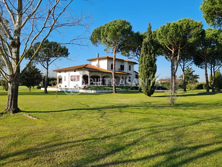 Immagine 5 di Villa in vendita  a Pietrasanta