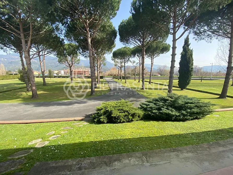 Immagine 17 di Villa in vendita  a Pietrasanta