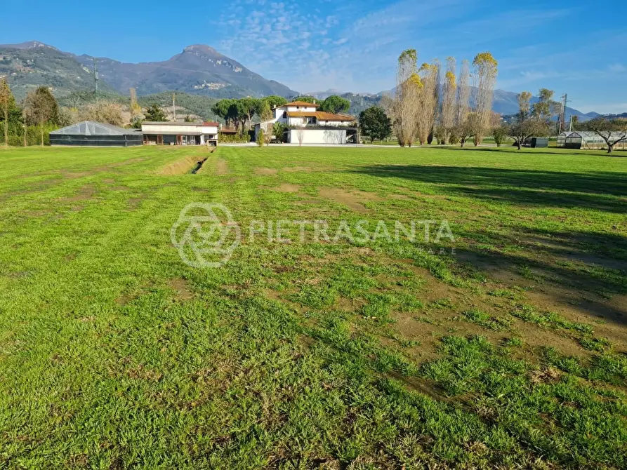 Immagine 8 di Villa in vendita  a Pietrasanta
