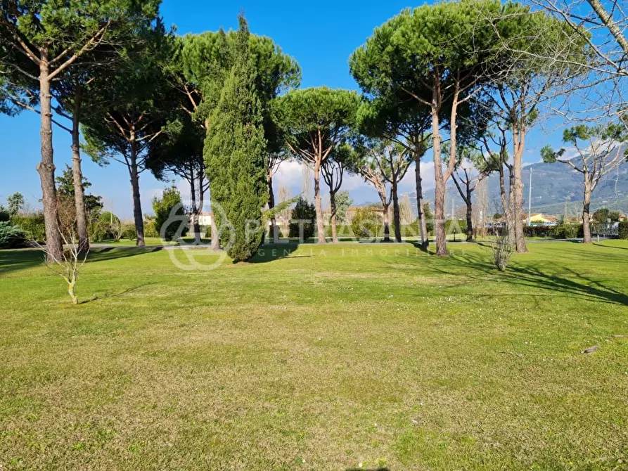 Immagine 13 di Villa in vendita  a Pietrasanta
