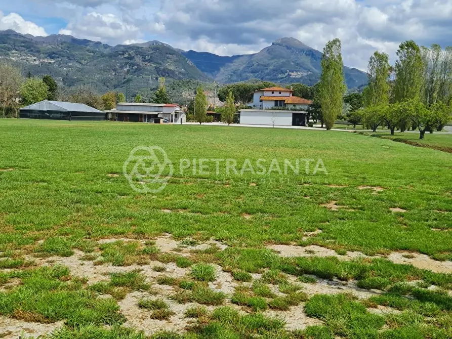 Immagine 33 di Villa in vendita  a Pietrasanta