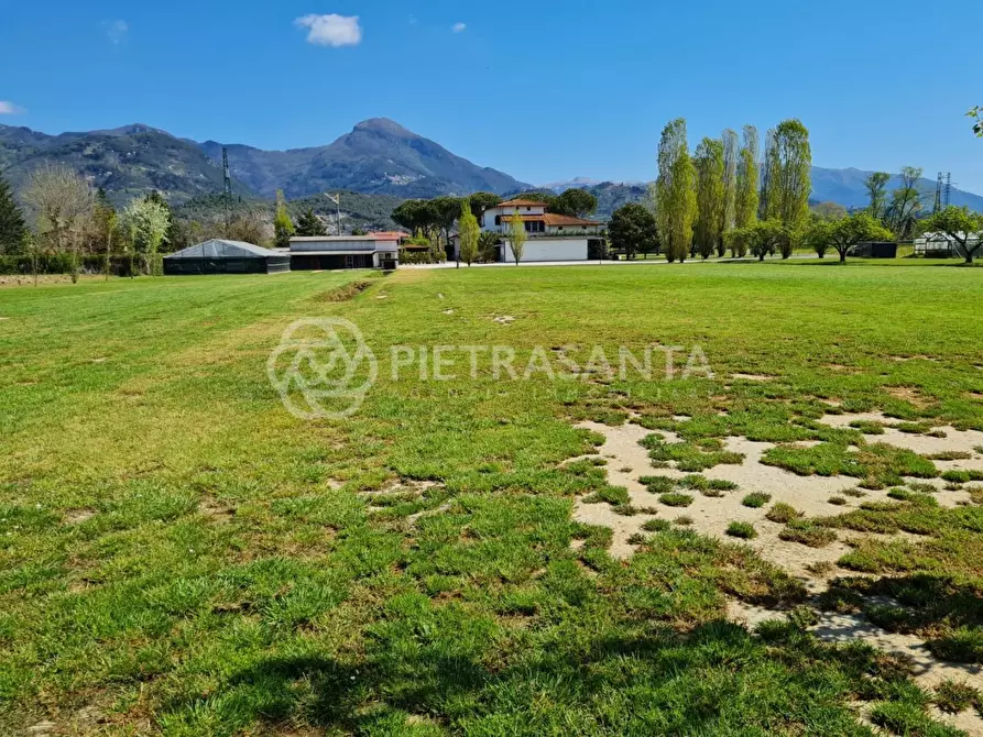 Immagine 30 di Villa in vendita  a Pietrasanta