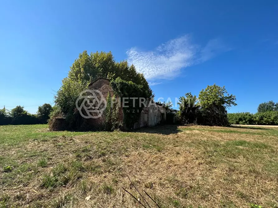 Immagine 7 di Casa colonica in vendita  a Pietrasanta