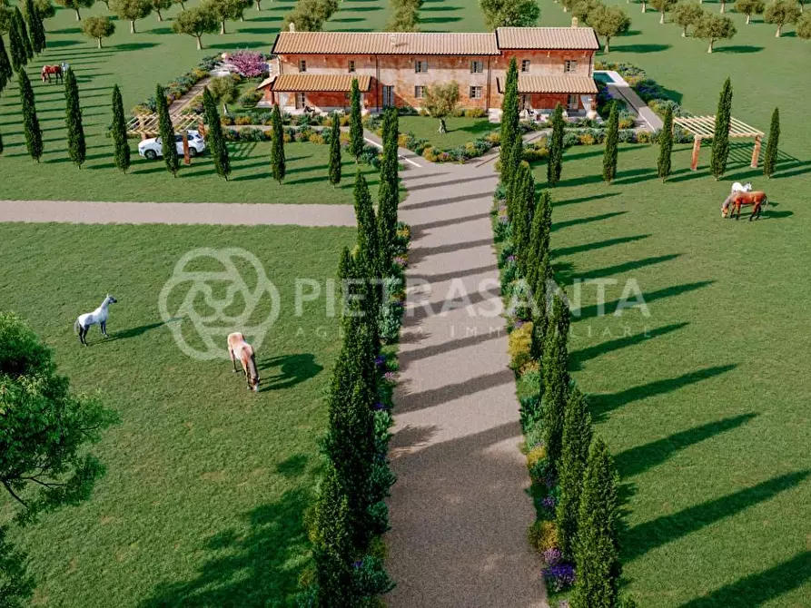 Immagine 4 di Casa colonica in vendita  a Pietrasanta