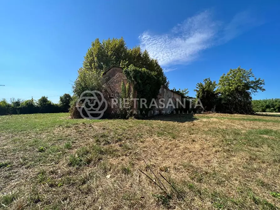 Immagine 8 di Casa colonica in vendita  a Pietrasanta
