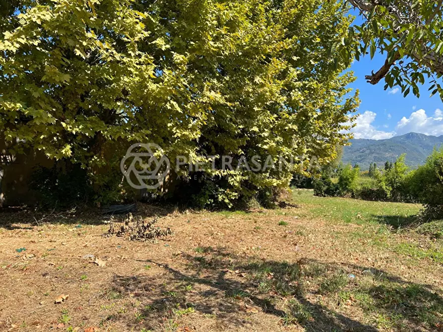 Immagine 10 di Casa colonica in vendita  a Pietrasanta