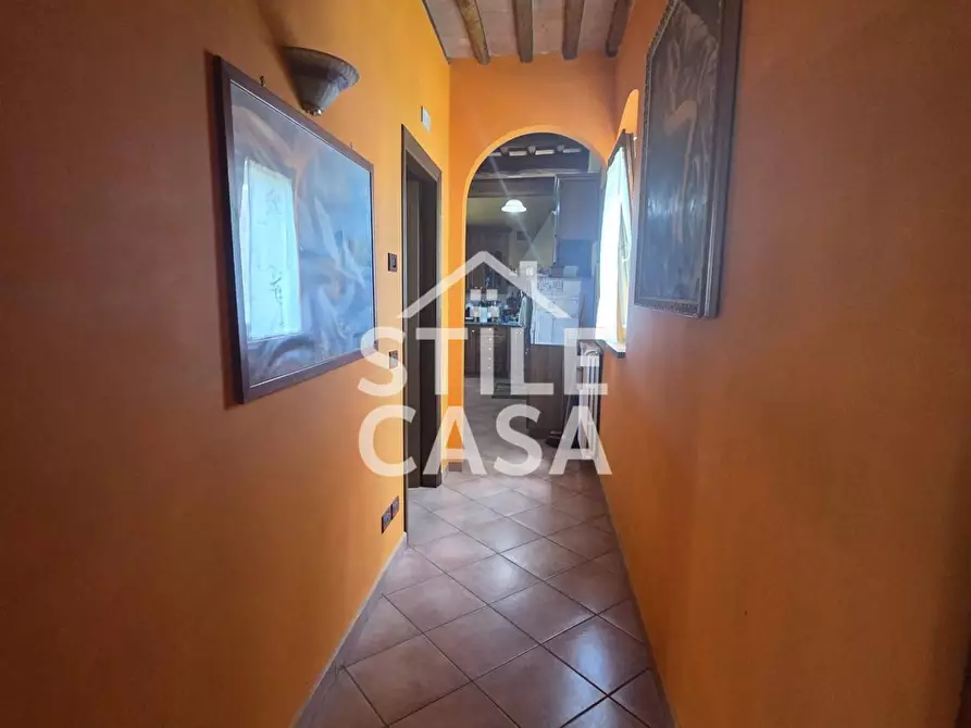 Immagine 3 di Casa colonica in vendita  a Montecarlo