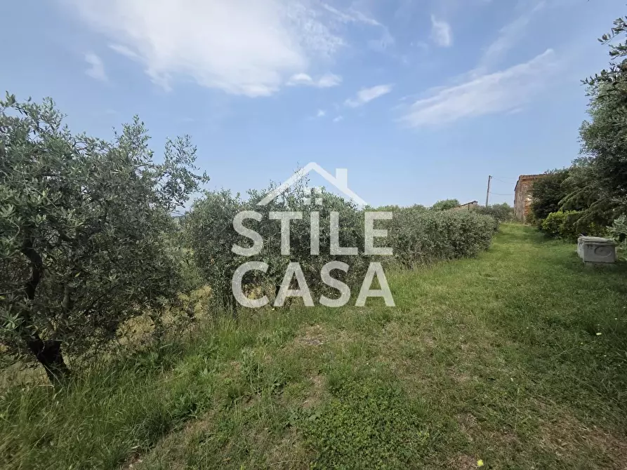 Immagine 14 di Casa colonica in vendita  a Montecarlo