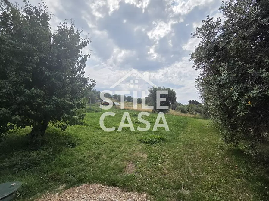 Immagine 14 di Villa in vendita  a Montecarlo