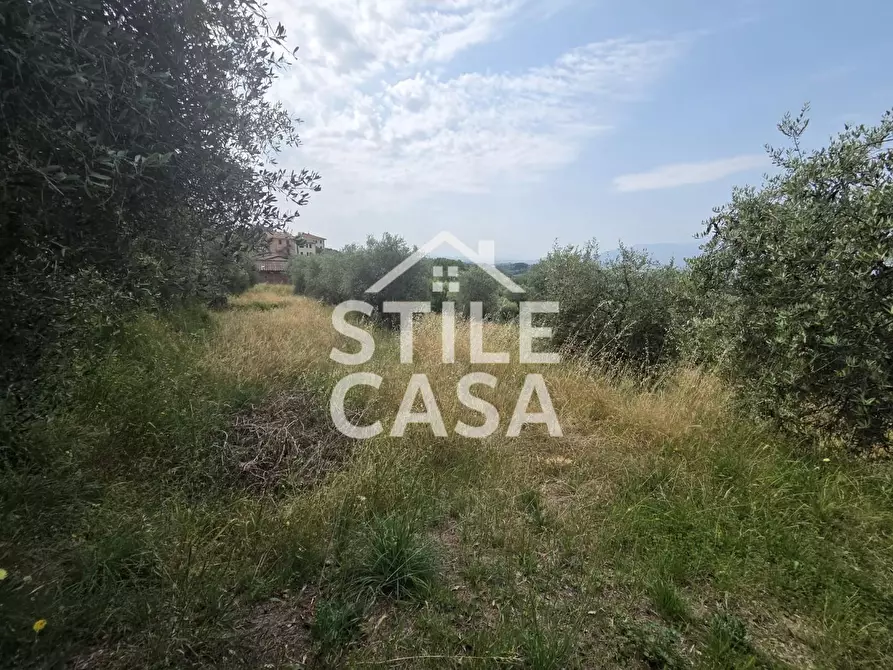 Immagine 17 di Villa in vendita  a Montecarlo