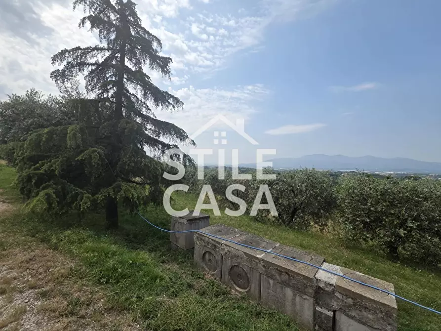 Immagine 10 di Villa in vendita  a Montecarlo