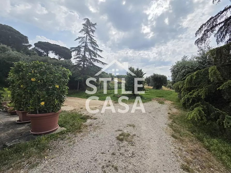 Immagine 16 di Villa in vendita  a Montecarlo