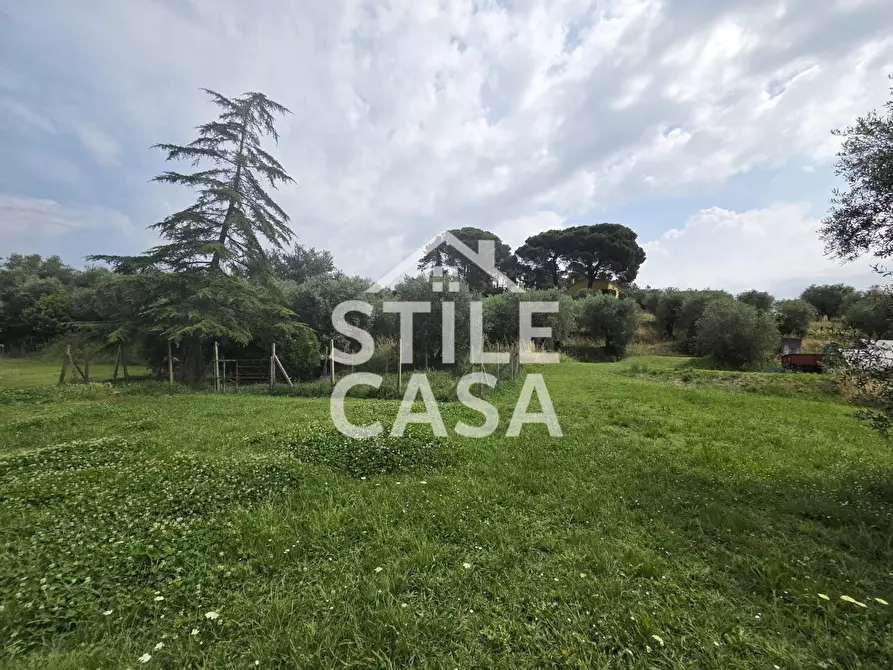 Immagine 12 di Villa in vendita  a Montecarlo