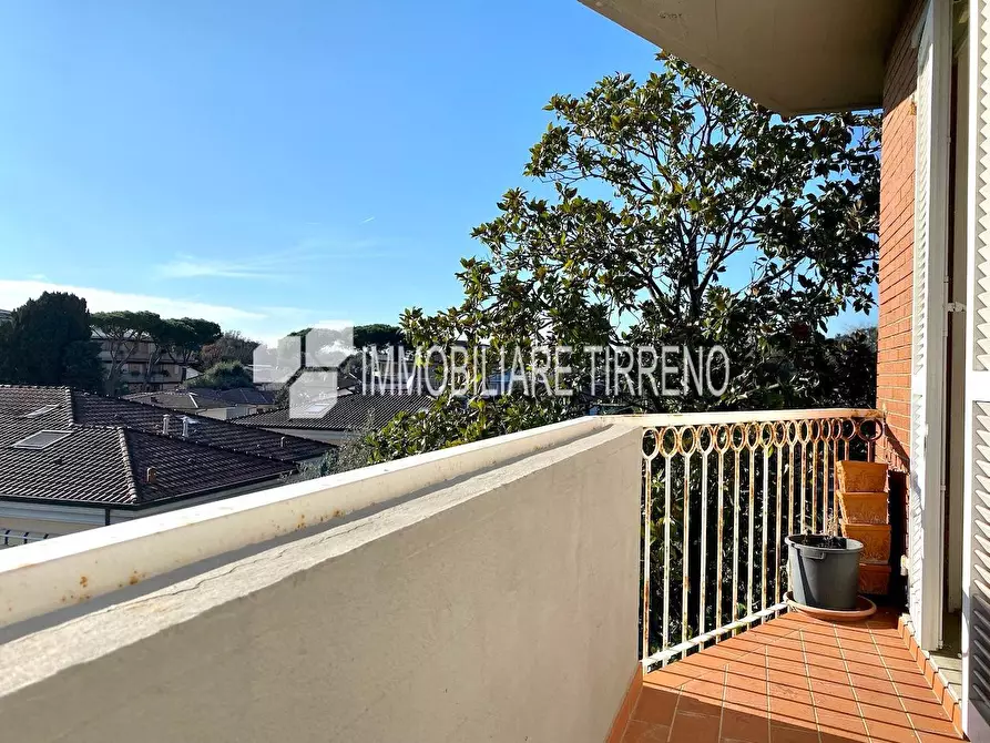 Immagine 5 di Appartamento in vendita  a Massa