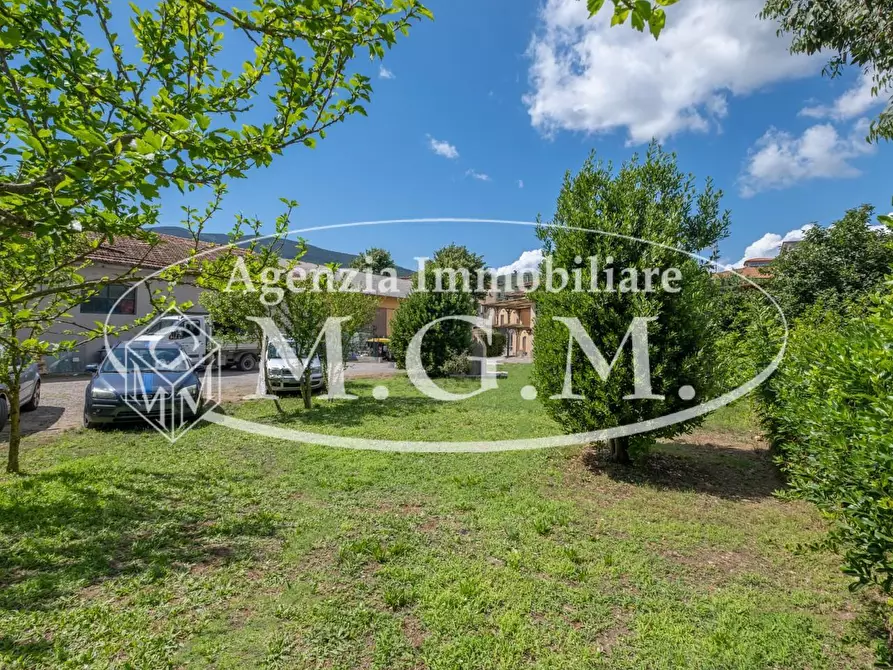 Immagine 14 di Villa in vendita  a Buti