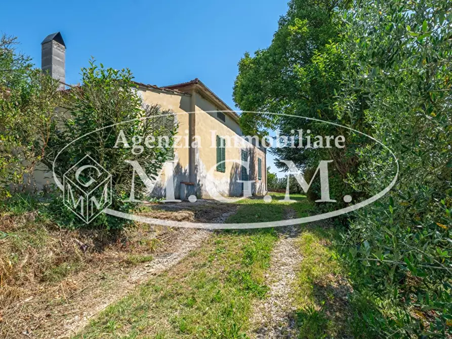 Immagine 6 di Casa indipendente in vendita  a Buti