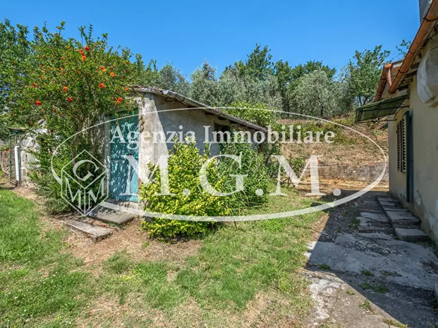 Immagine 13 di Casa indipendente in vendita  a Buti