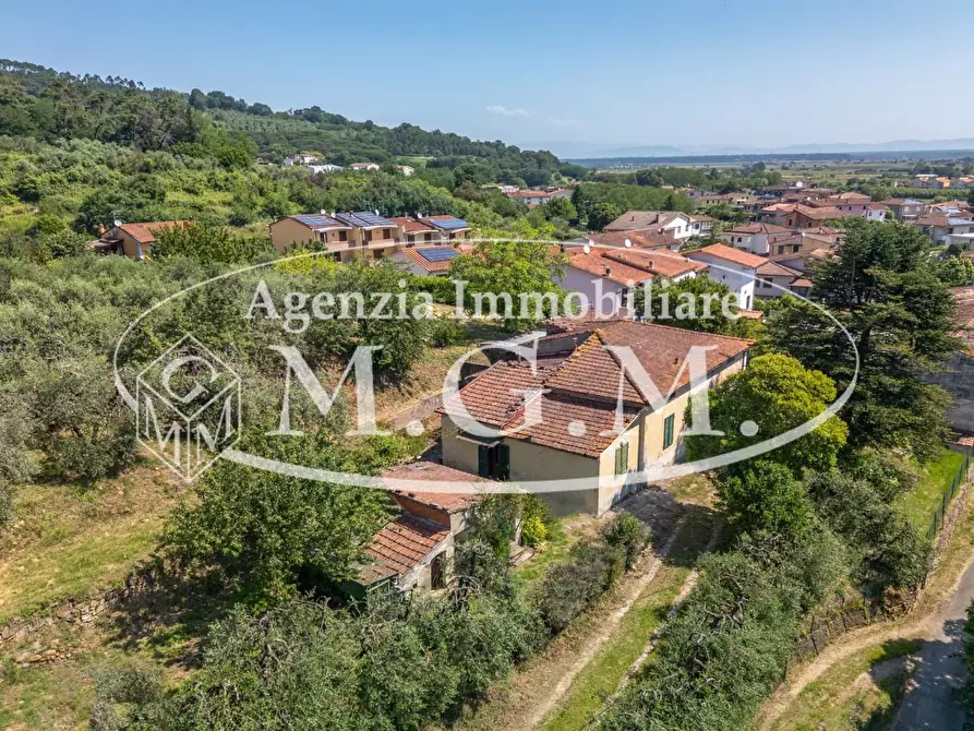 Immagine 8 di Casa indipendente in vendita  a Buti
