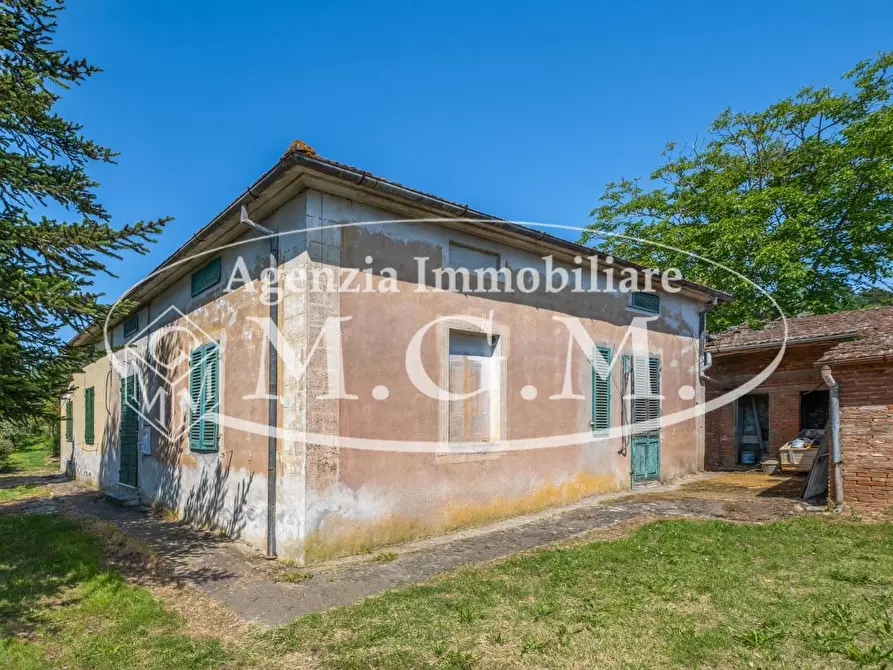 Immagine 11 di Casa indipendente in vendita  a Buti