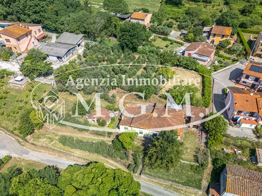 Immagine 2 di Casa indipendente in vendita  a Buti
