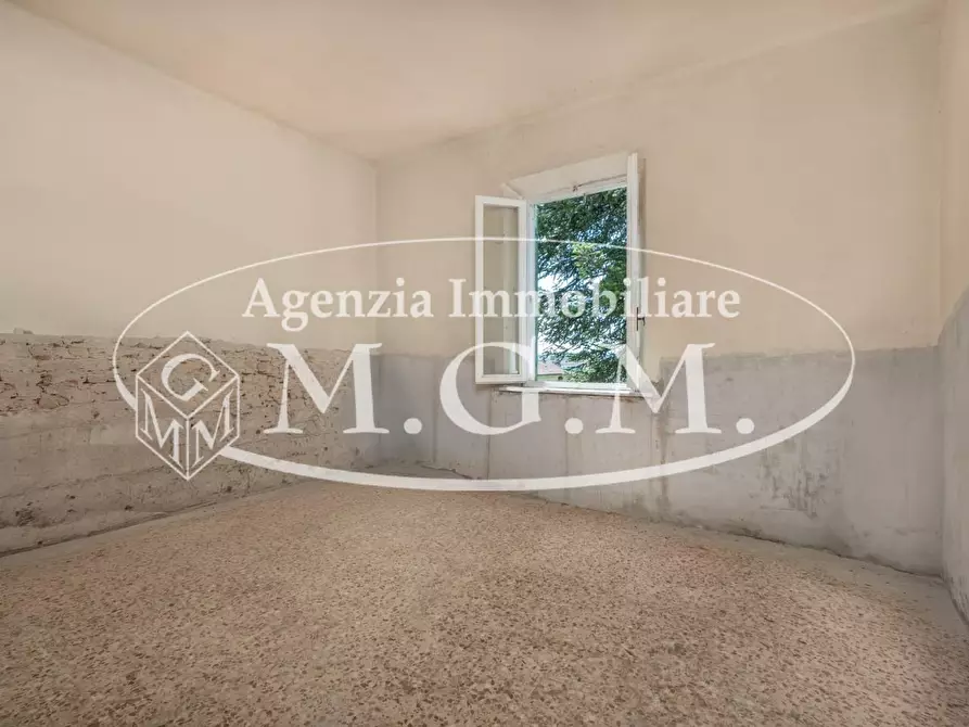 Immagine 19 di Casa indipendente in vendita  a Buti