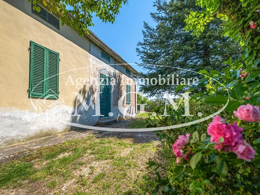 Immagine 1 di Casa indipendente in vendita  a Buti