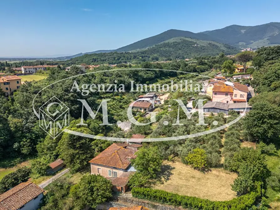 Immagine 7 di Casa indipendente in vendita  a Buti