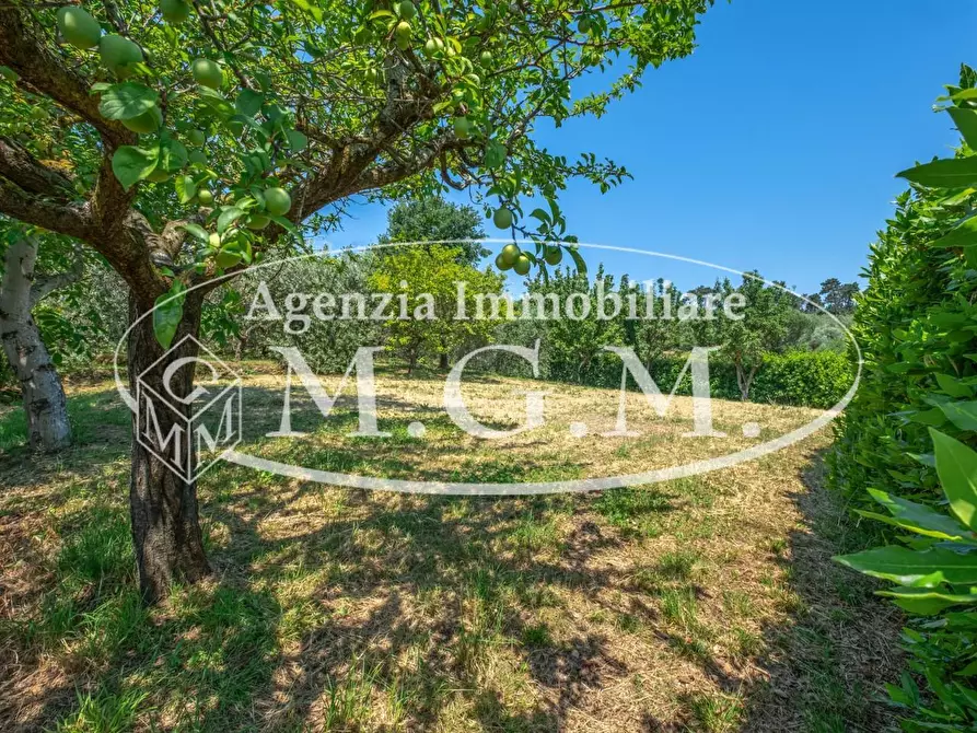Immagine 20 di Casa indipendente in vendita  a Buti